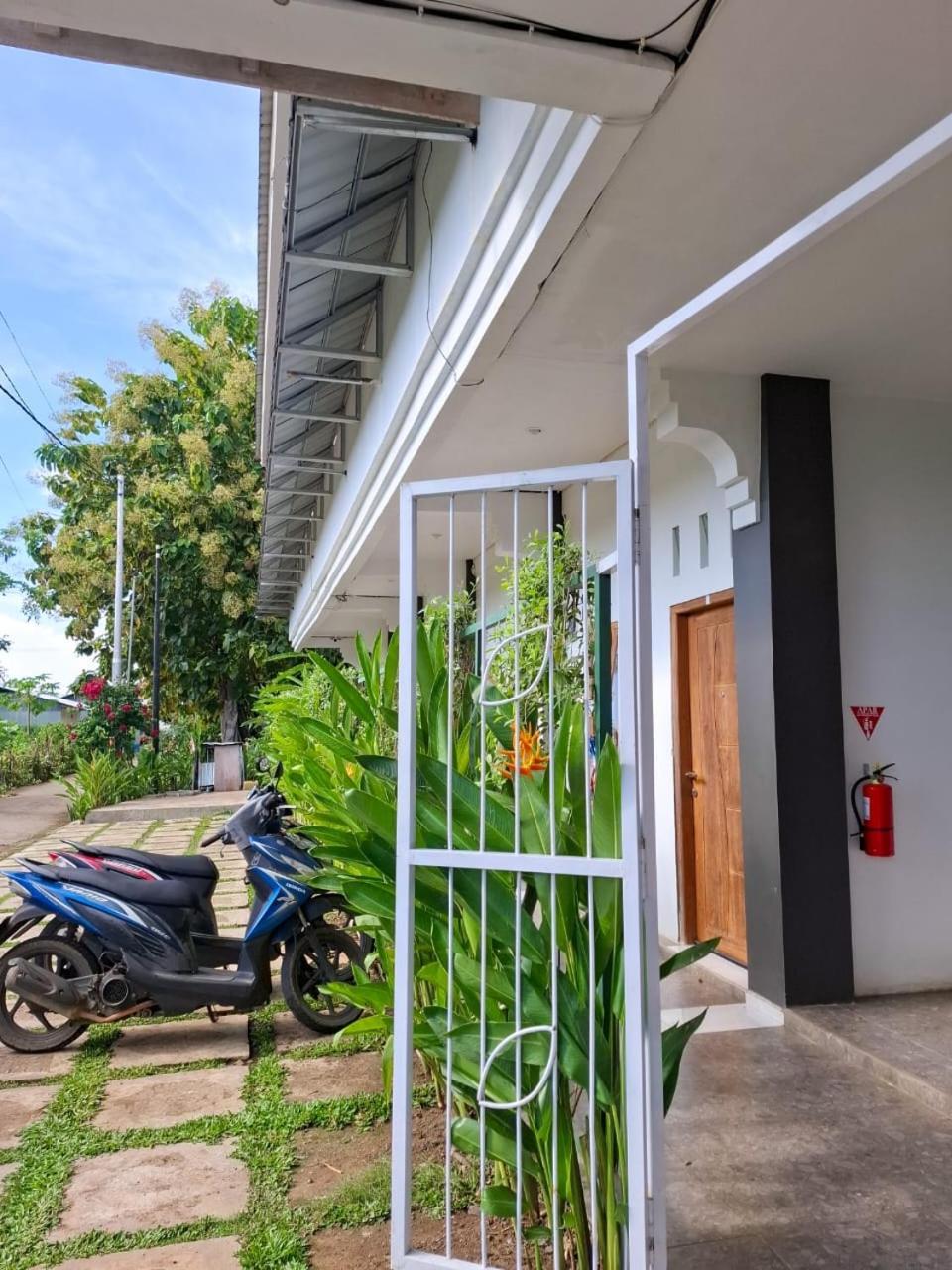 Guest House D Valeri Labuan Bajo Exterior photo