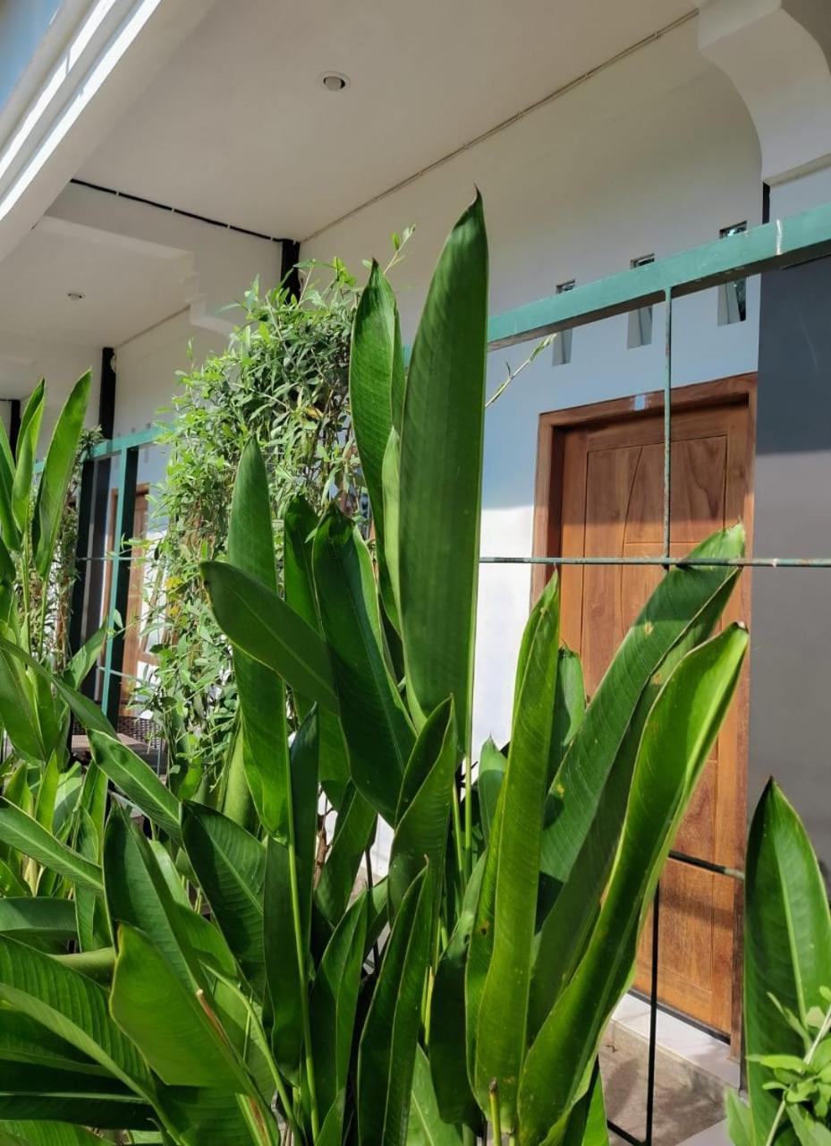 Guest House D Valeri Labuan Bajo Exterior photo